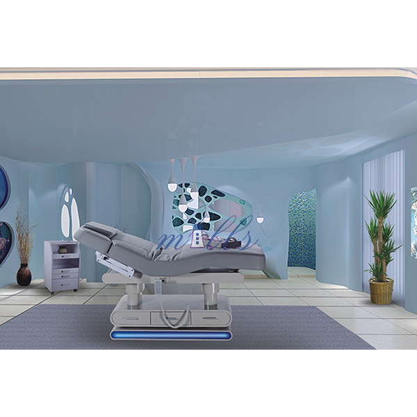 Beauty bed manufacturers